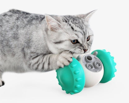 Pet Slow Feeder Ball Dog Treat Ball