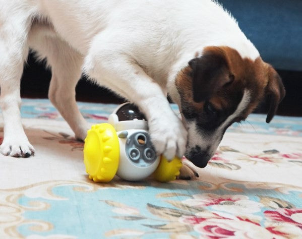 Pet Slow Feeder Ball Dog Treat Ball