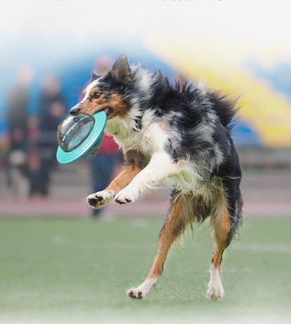 Pet Slow Feeder Ball Dog Treat Ball