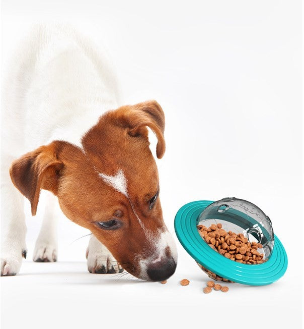 Pet Slow Feeder Ball Dog Treat Ball