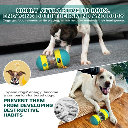 Pet Slow Feeder Ball Dog Treat Ball