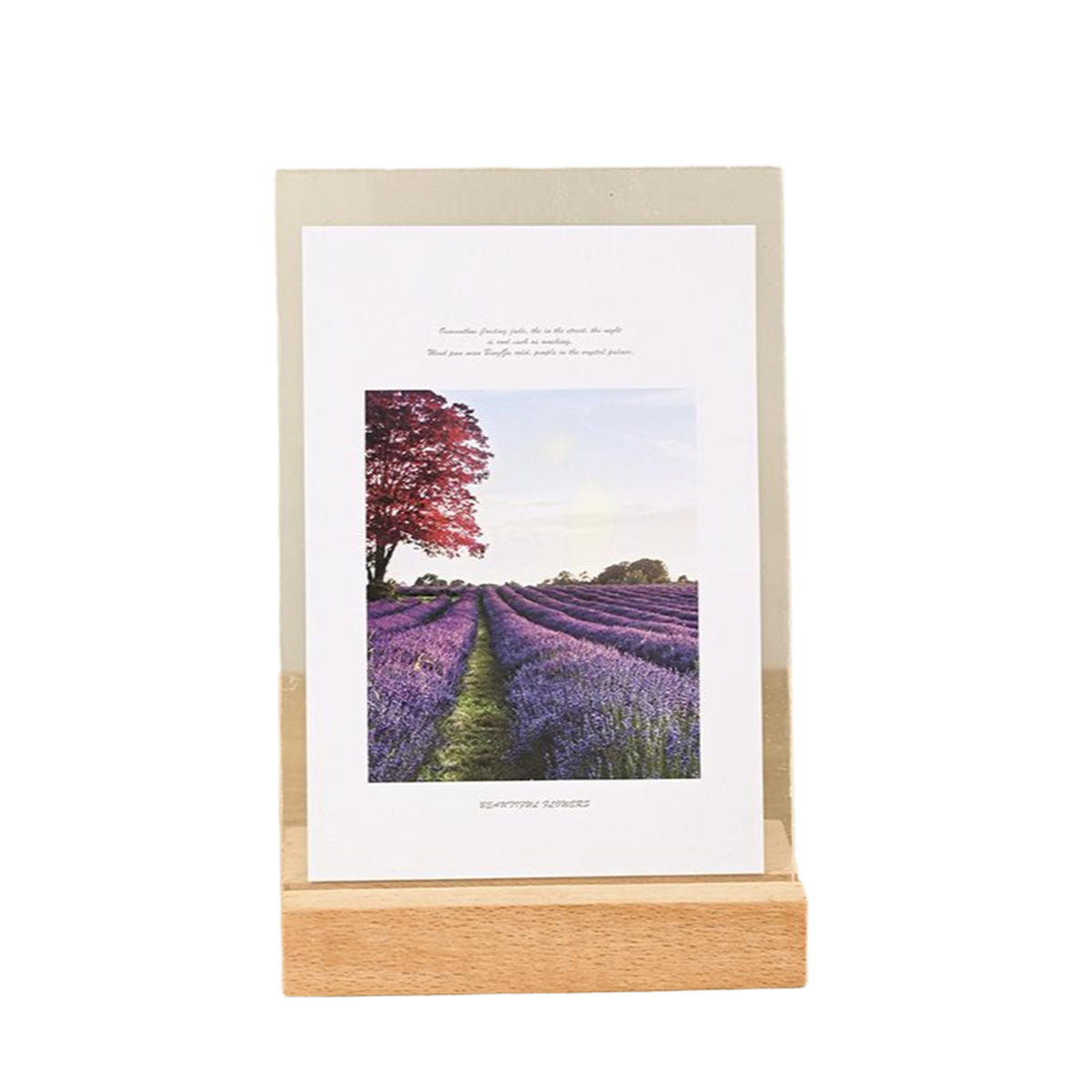 Vertical Acrylic Photo Frame 8"